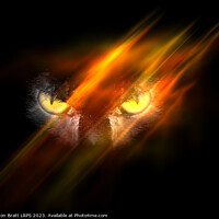 Buy canvas prints of Evil animal eyes in the darkness with fire by Simon Bratt LRPS
