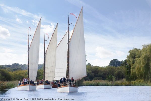 Four Wherry sail boats on the Norfolk Broads UK Picture Board by Simon Bratt LRPS