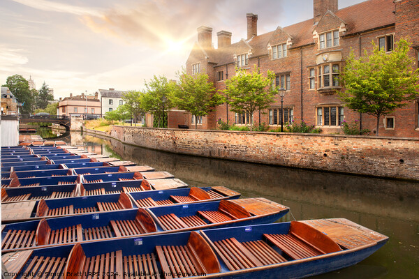 Magdalene College in Cambridge UK river cam punts Picture Board by Simon Bratt LRPS