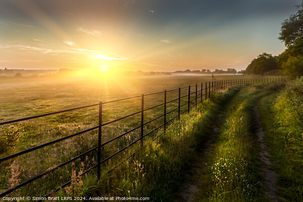 Super sunrise over farm fields cattle fence and track Picture Board by Simon Bratt LRPS