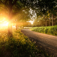 Buy canvas prints of Beautiful country lane sunrise with trees in Norfo by Simon Bratt LRPS