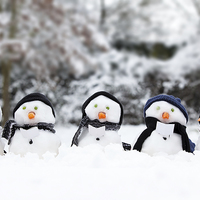Buy canvas prints of Cute snowman group in snow  by Simon Bratt LRPS