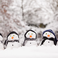 Buy canvas prints of Five cute snowmen facing forward by Simon Bratt LRPS