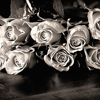 Buy canvas prints of Roses on a table in black and white by Simon Bratt LRPS