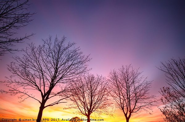 Fiery winter sunset with bare trees Picture Board by Simon Bratt LRPS