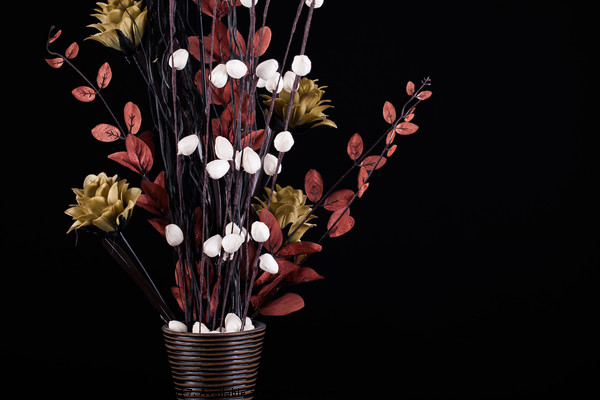 Flowers in a vase with black background Picture Board by Simon Bratt LRPS