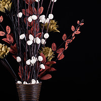 Buy canvas prints of Flowers in a vase with black background by Simon Bratt LRPS