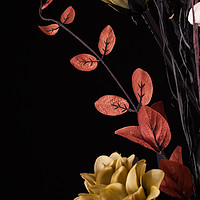Buy canvas prints of Flowers arrangement with black background by Simon Bratt LRPS