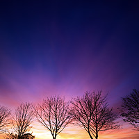 Buy canvas prints of Fiery winter sunset with line of bare trees by Simon Bratt LRPS