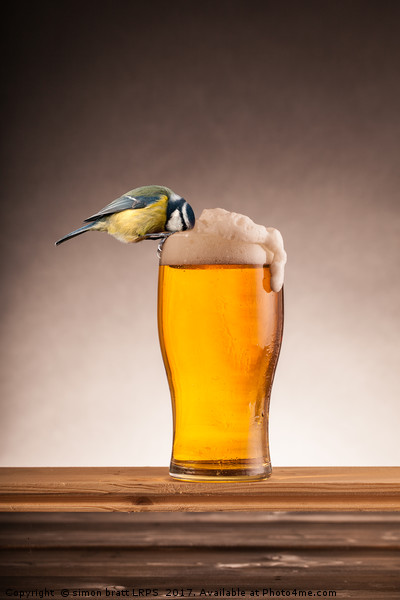 A beer for the blue tit birds Picture Board by Simon Bratt LRPS
