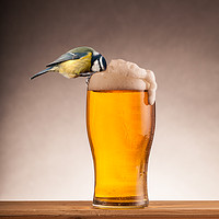 Buy canvas prints of A beer for the blue tit birds by Simon Bratt LRPS