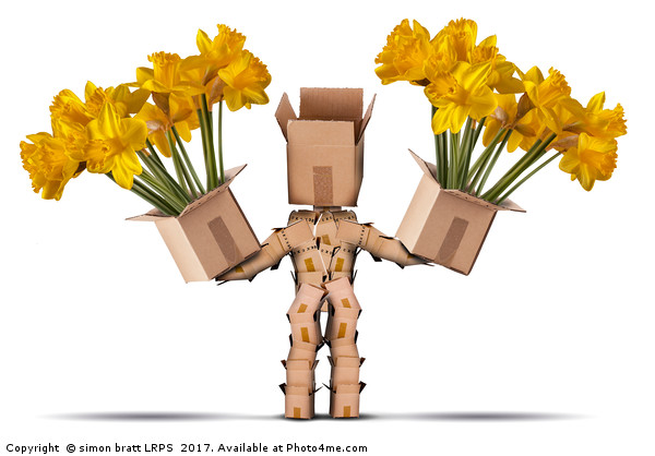 Box character holding two boxes of flower Picture Board by Simon Bratt LRPS