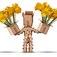 Buy canvas prints of Box character holding two boxes of flower by Simon Bratt LRPS