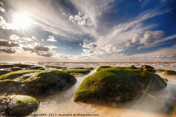 Hunstanton coastline with  seaweed rock outcrops o Picture Board by Simon Bratt LRPS