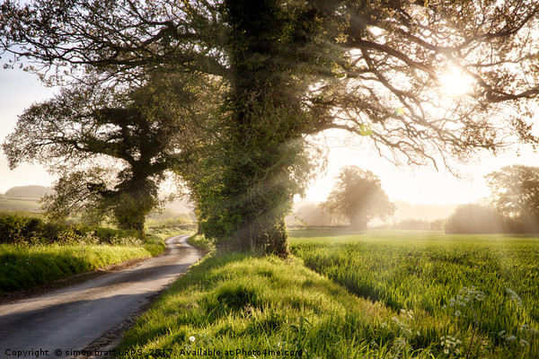 English country road and sunrise Picture Board by Simon Bratt LRPS
