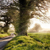 Buy canvas prints of English country road and sunrise by Simon Bratt LRPS