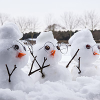 Buy canvas prints of Three cute snowman characters with mohicans by Simon Bratt LRPS