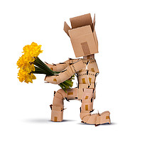 Buy canvas prints of Box character on bended knee with flowers by Simon Bratt LRPS