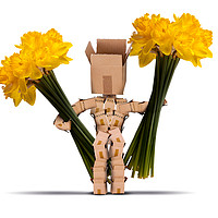 Buy canvas prints of Box character holding large bunches of daffodils by Simon Bratt LRPS