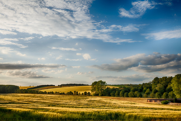 Fields of golden wheat English landscape Picture Board by Simon Bratt LRPS