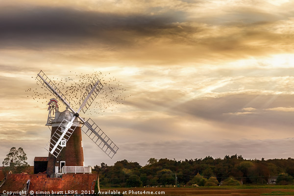 Cley windmill Norfolkwith flock of birds at sunse Picture Board by Simon Bratt LRPS