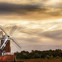 Buy canvas prints of Cley windmill Norfolkwith flock of birds at sunse by Simon Bratt LRPS