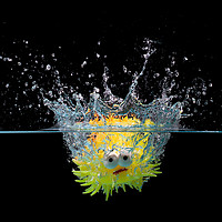 Buy canvas prints of Toy fish splash by Simon Bratt LRPS