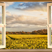 Buy canvas prints of Window open with a view onto farm crops by Simon Bratt LRPS