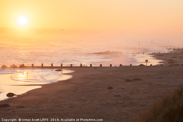 Norfolk coast sunrise with many seals Picture Board by Simon Bratt LRPS