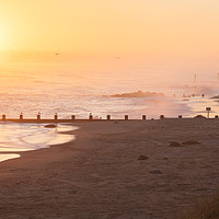 Buy canvas prints of Norfolk coast sunrise with many seals by Simon Bratt LRPS