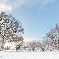 Buy canvas prints of Snow covered tree line with early morning sunrise by Simon Bratt LRPS