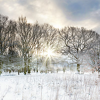 Buy canvas prints of Snow covered rural trees with early morning sunris by Simon Bratt LRPS