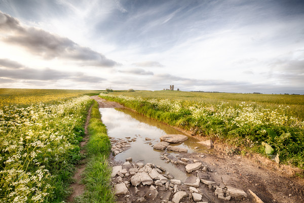 Flooded road landscape leading to ancient ruin Picture Board by Simon Bratt LRPS