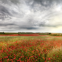 Buy canvas prints of Vast wild red poppy fields landscape by Simon Bratt LRPS