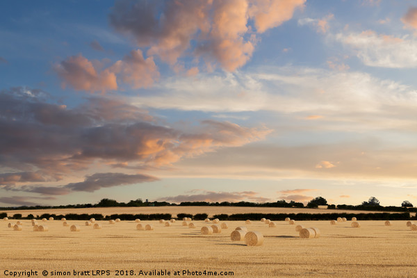 Norfolk hay bales basking in the sunset glow Picture Board by Simon Bratt LRPS