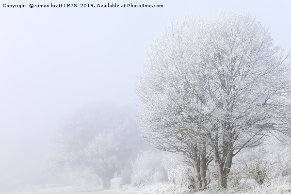 Winter landscape in Norfolk England with frozen fo Picture Board by Simon Bratt LRPS