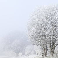 Buy canvas prints of Winter landscape in Norfolk England with frozen fo by Simon Bratt LRPS