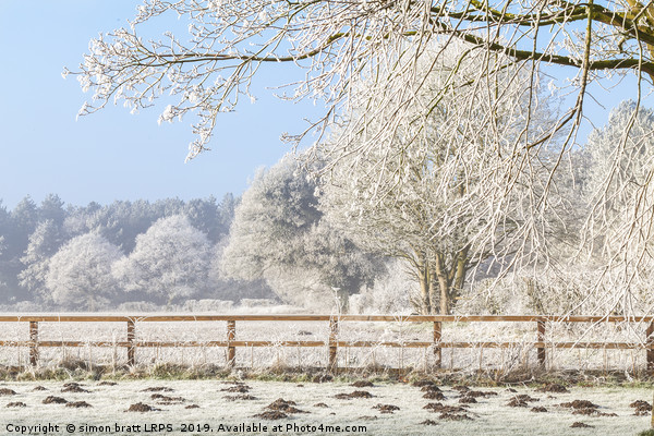 Winter scene with trees fence and mole hills Picture Board by Simon Bratt LRPS