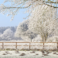 Buy canvas prints of Winter scene with trees fence and mole hills by Simon Bratt LRPS