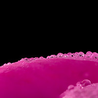 Buy canvas prints of Close up water drops on flower petal by Simon Bratt LRPS