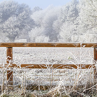 Buy canvas prints of Rural winter snow scene and fence by Simon Bratt LRPS