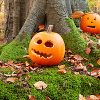 Buy canvas prints of Halloween scary pumpkins in the woods by Simon Bratt LRPS