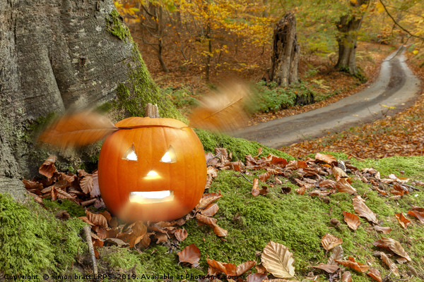 Halloween pumpkin in autumn woodland Picture Board by Simon Bratt LRPS