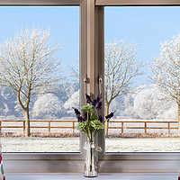 Buy canvas prints of Window onto a winter snowy trees by Simon Bratt LRPS