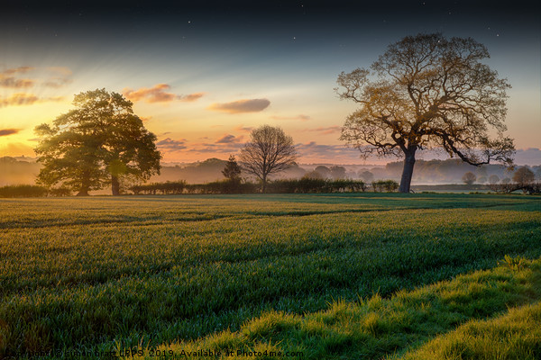Farmland sunrise and trees landscape Picture Board by Simon Bratt LRPS