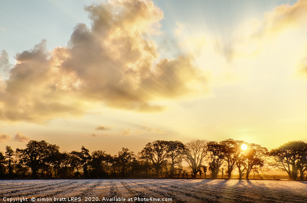 Frosty farmland sunrise in Norfolk UK Picture Board by Simon Bratt LRPS