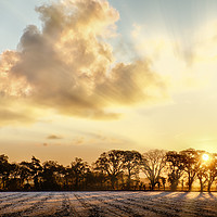 Buy canvas prints of Frosty farmland sunrise in Norfolk UK by Simon Bratt LRPS
