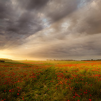 Buy canvas prints of Gorgeous poppy field sunrise landscape by Simon Bratt LRPS