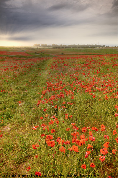 Vast red poppy fields at dawn Picture Board by Simon Bratt LRPS