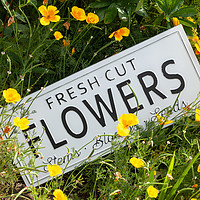 Buy canvas prints of Garden flowers with fresh cut flower sign 0753 by Simon Bratt LRPS